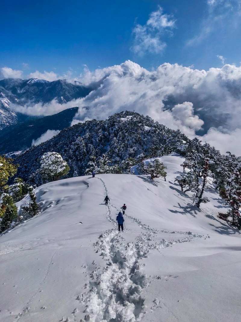 Snow peaks in Manali